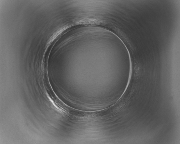 X0000076300674200610201547