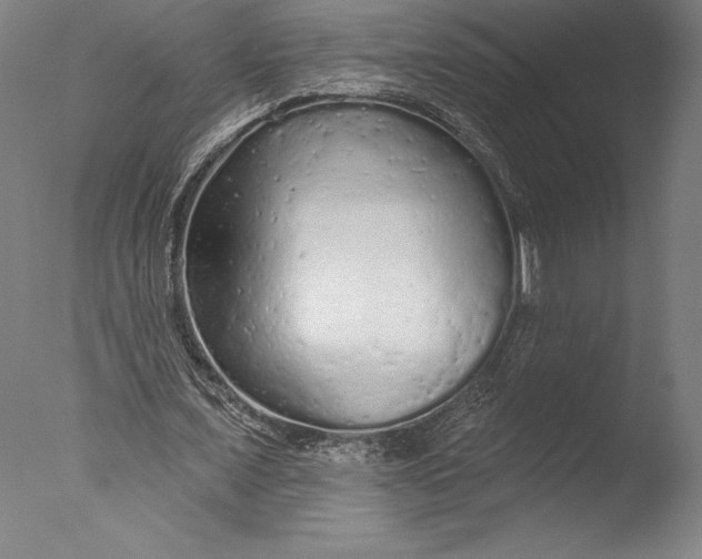 X0000076300675200610201547