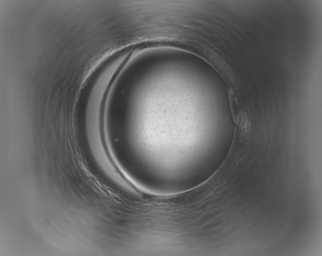 X0000076300676200610201547