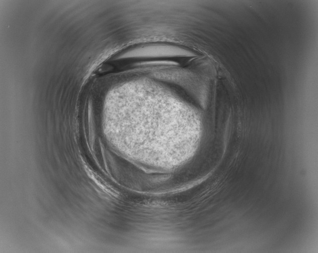 X0000076300677200610201547