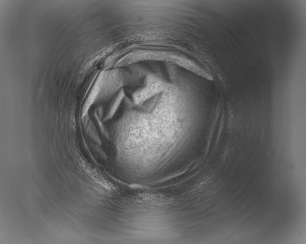 X0000076300681200610201547