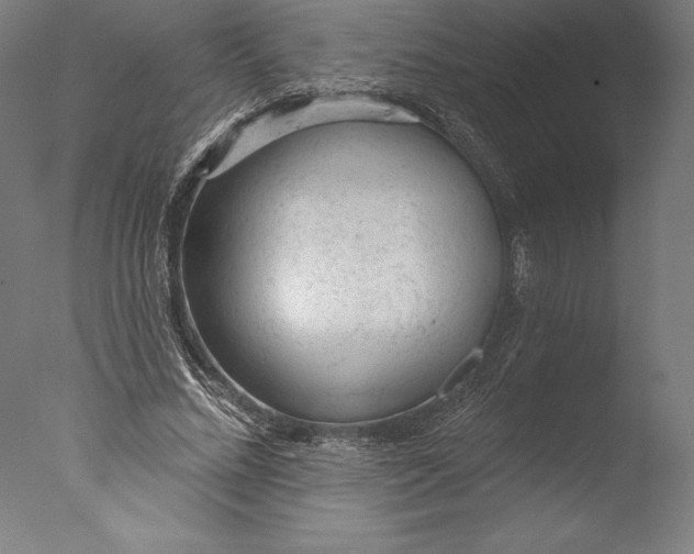 X0000076300684200610201547