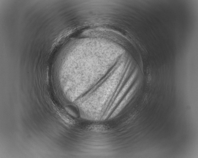 X0000076300685200610201547