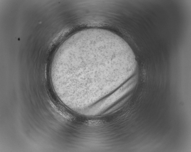 X0000076300686200610201547