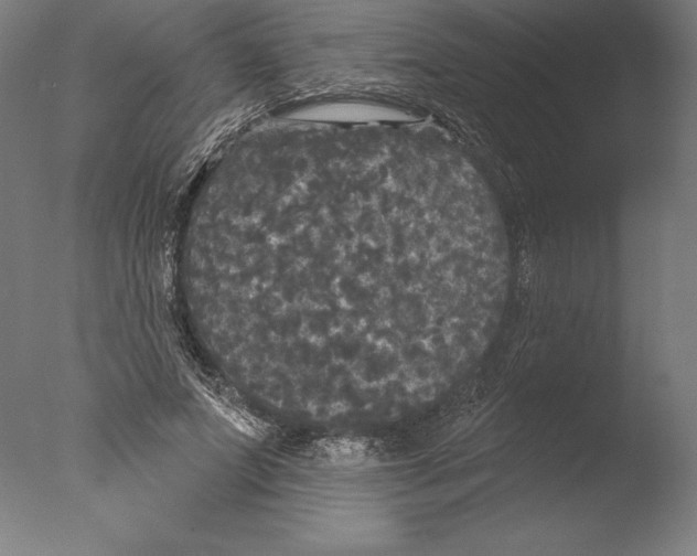 X0000076300687200610201547