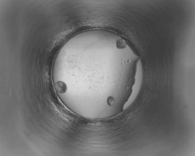 X0000076300688200610201547