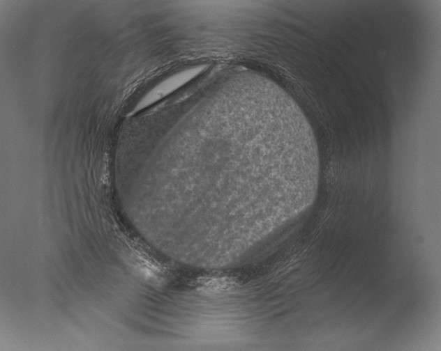 X0000076300689200610201547