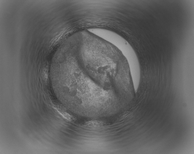 X0000076300691200610201547