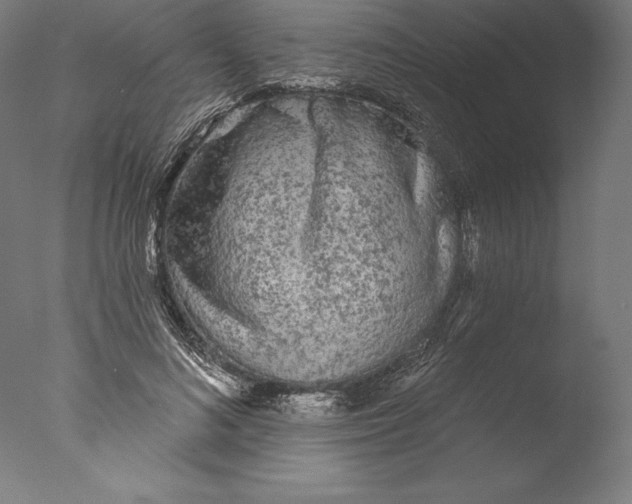 X0000076300692200610201547