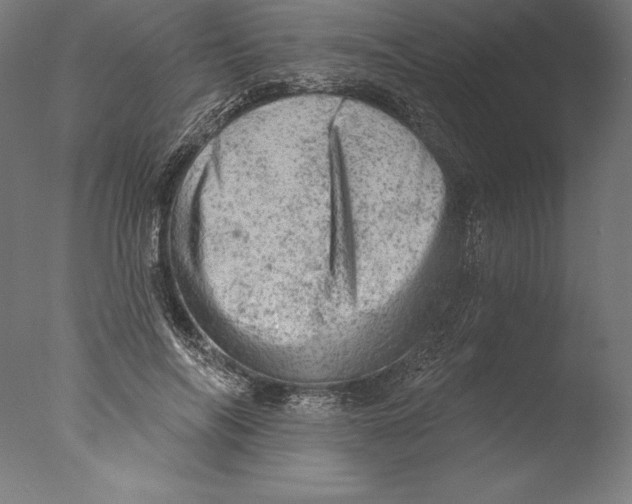 X0000076300694200610201547