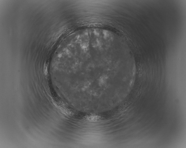 X0000076300695200610201547