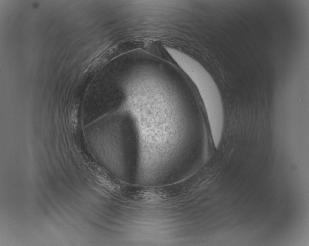 X0000076300697200610201547