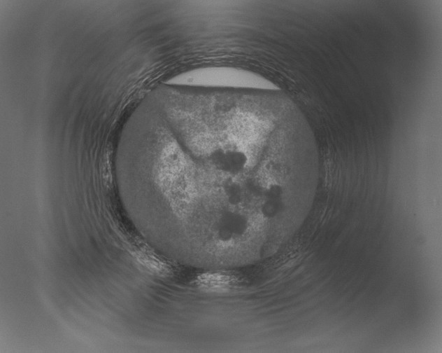 X0000076300699200610201547