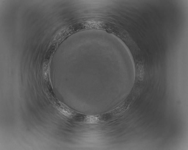 X0000076300701200610201547