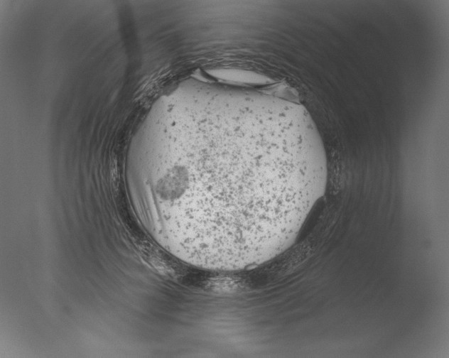 X0000076300704200610201547