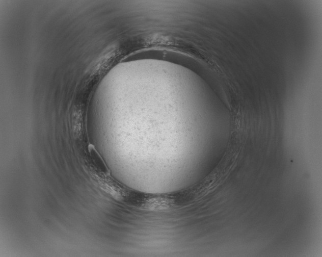 X0000076300708200610201547