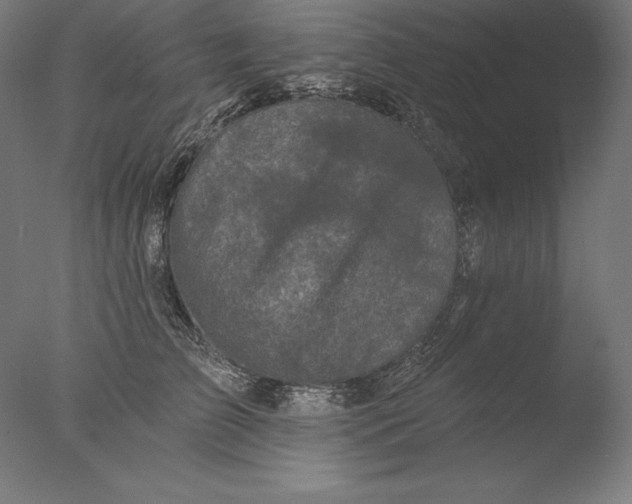 X0000076300709200610201547