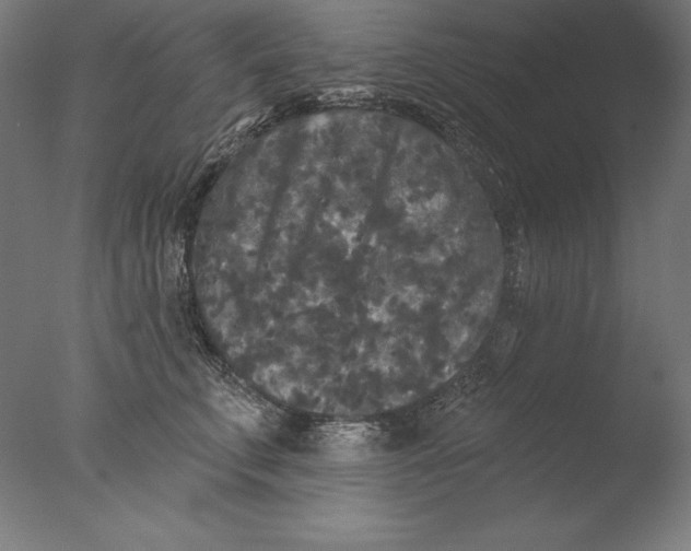 X0000076300711200610201547