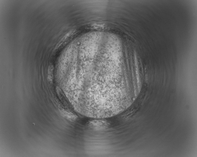 X0000076300712200610201546