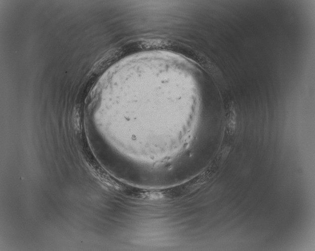 X0000076300715200610201546