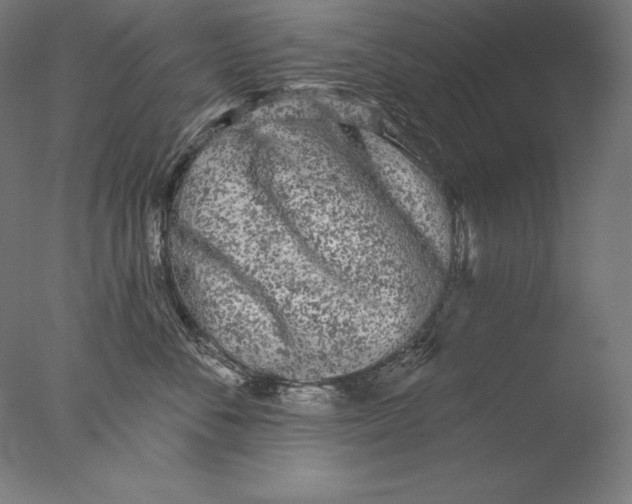 X0000076300716200610201546