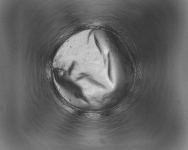 X0000076300719200610201546