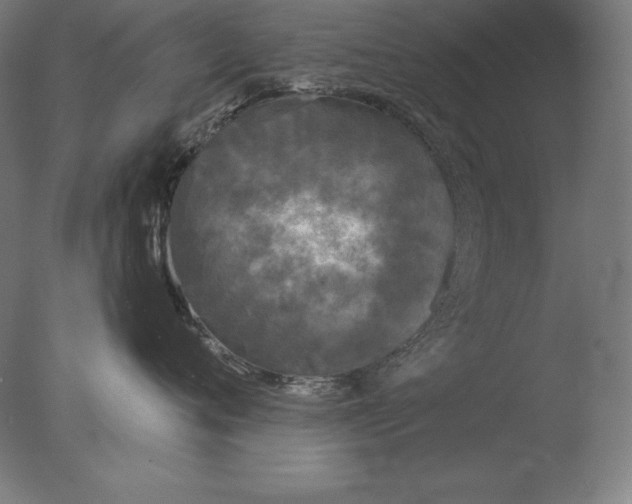 X0000076300720200610201546