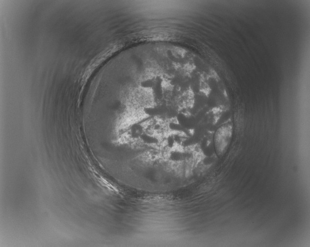 X0000076300721200610201546