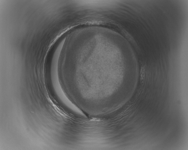 X0000076300722200610201546