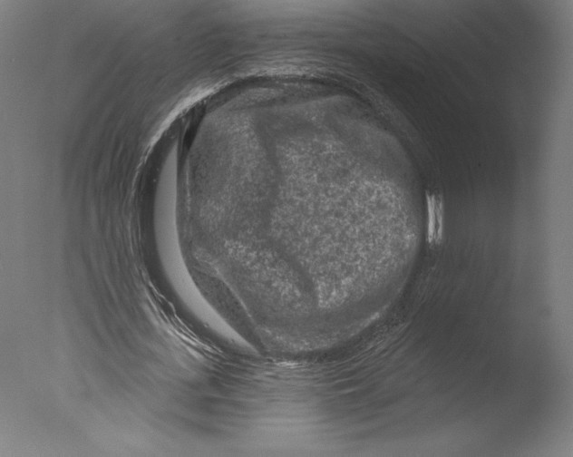 X0000076300723200610201546