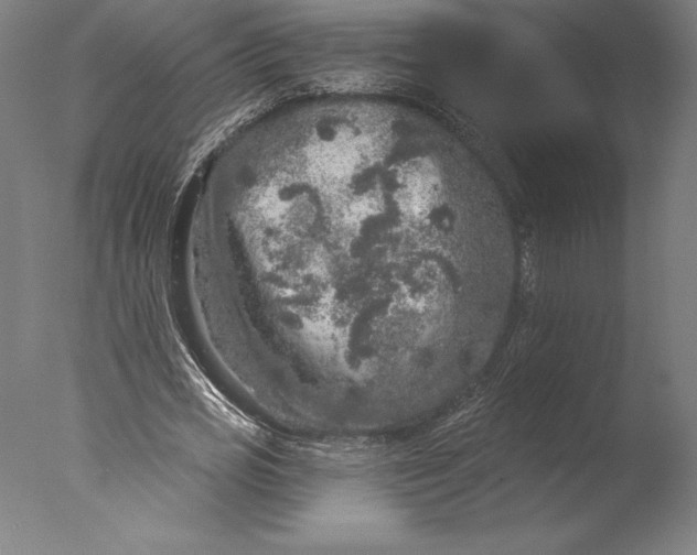 X0000076300725200610201546