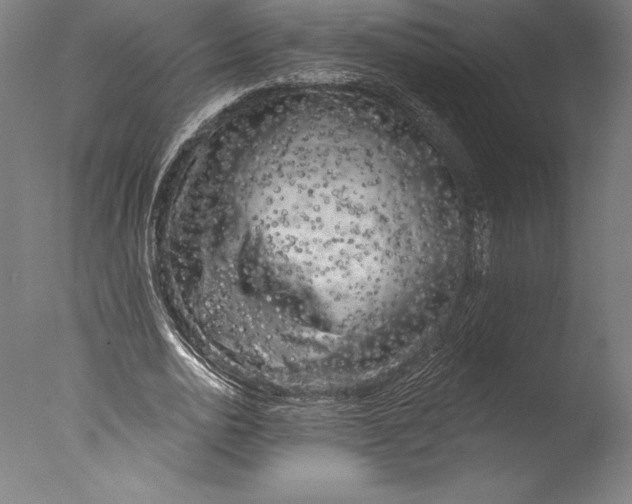 X0000076300726200610201546