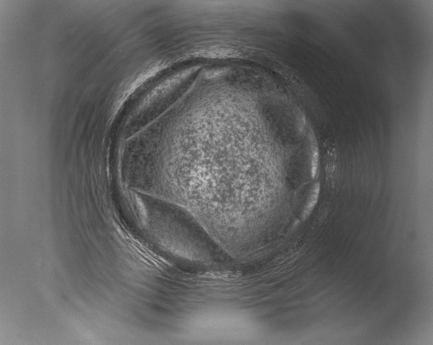 X0000076300727200610201546