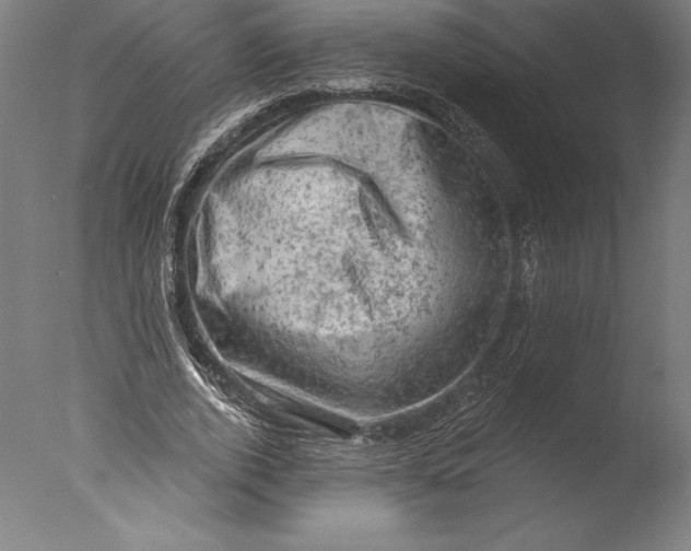 X0000076300728200610201546