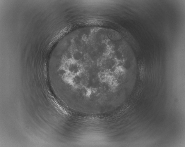 X0000076300729200610201546