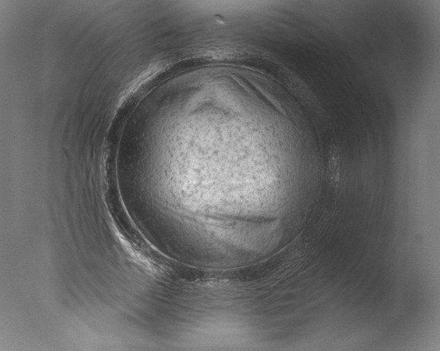 X0000076300730200610201546