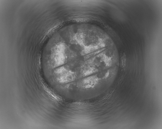 X0000076300733200610201546