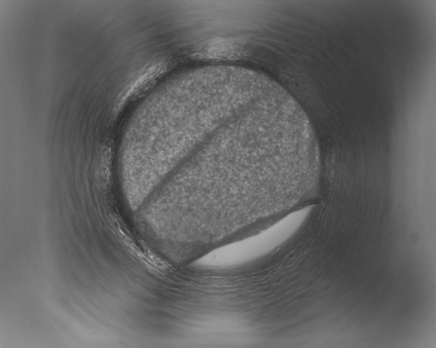 X0000076300735200610201546