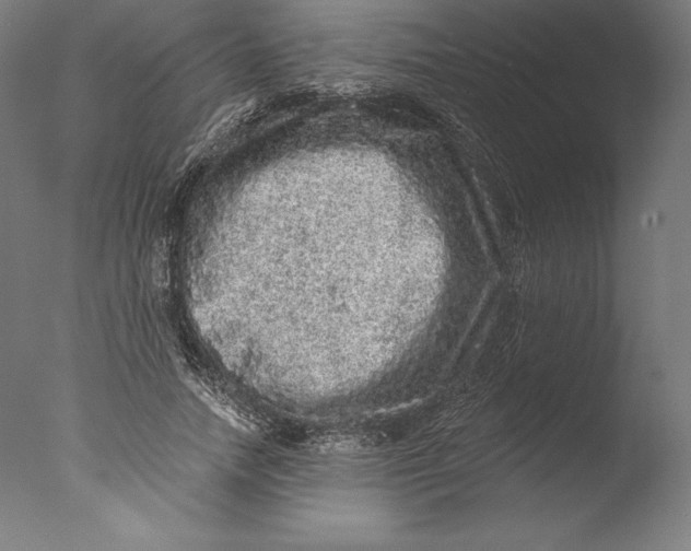 X0000076300738200610201546