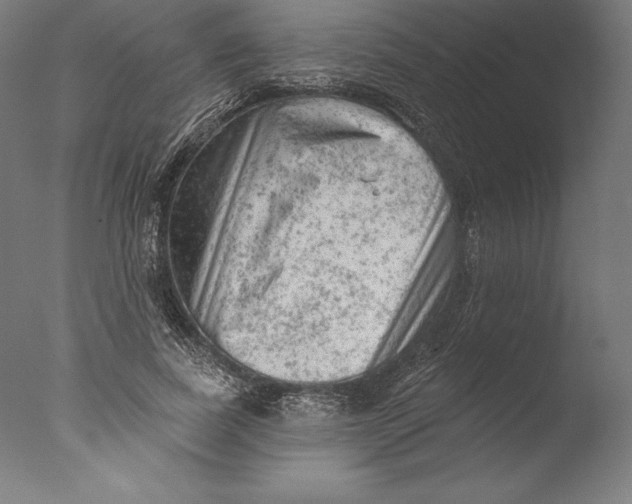 X0000076300739200610201546