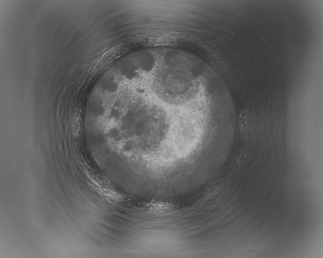 X0000076300741200610201546