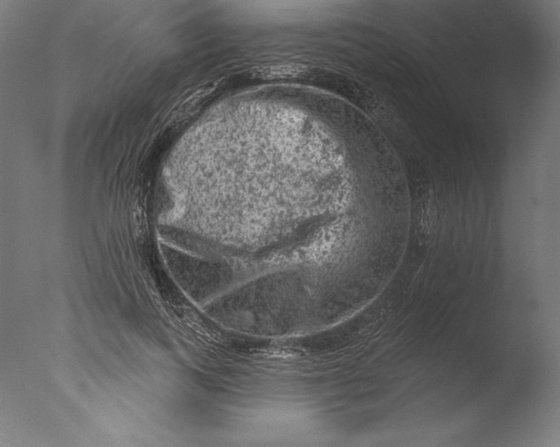 X0000076300743200610201546