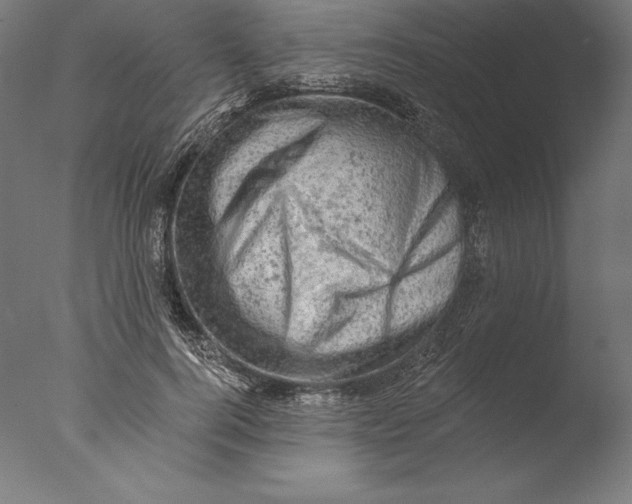 X0000076300744200610201546