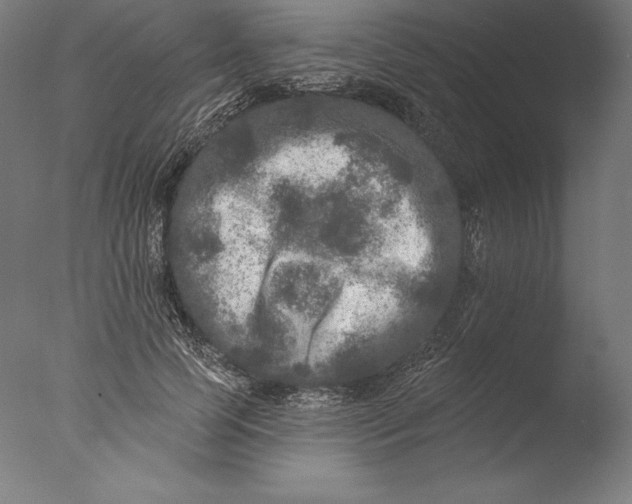 X0000076300745200610201546