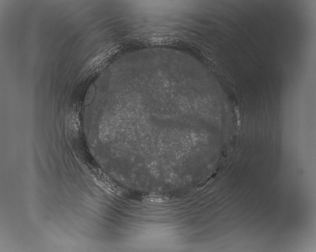 X0000076300746200610201546