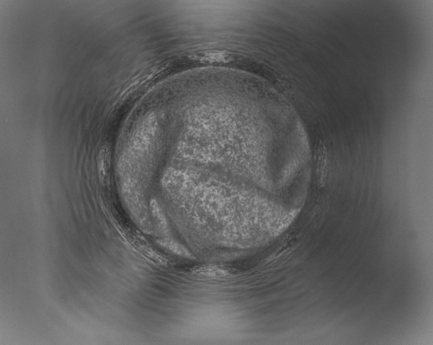 X0000076300747200610201546