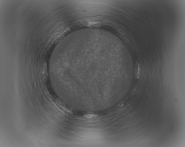 X0000076300748200610201546