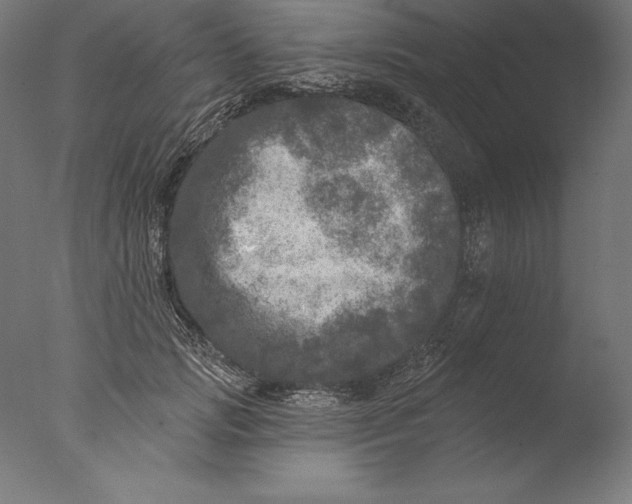 X0000076300749200610201546