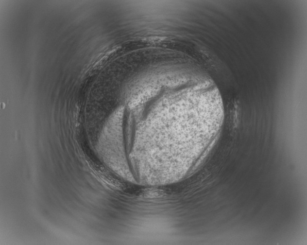 X0000076300750200610201546