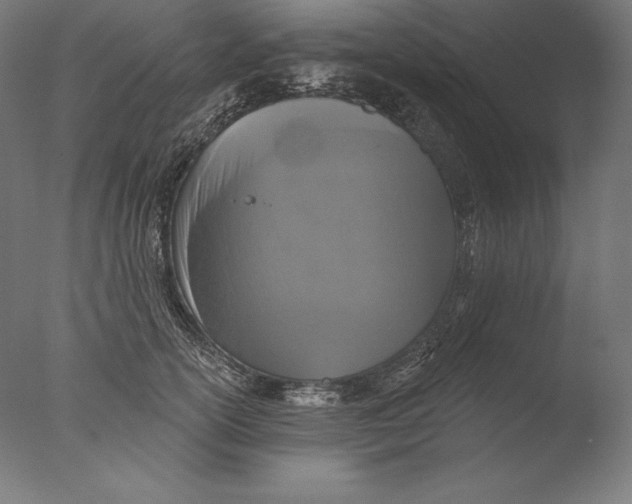 X0000076300754200610201546